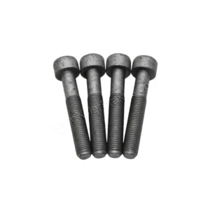 Brembo 4pot 6pot 8pot Original Audi Calipers brackets adapters Screws Set of 4 Rs4 Rs3 TTRS 8S