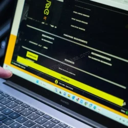 Power Delivery Module PDM Home Tuning Tool VWR031000