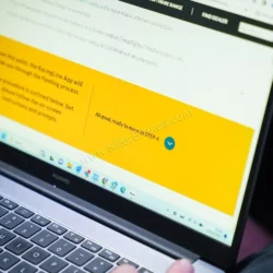 Power Delivery Module PDM Home Tuning Tool VWR031000